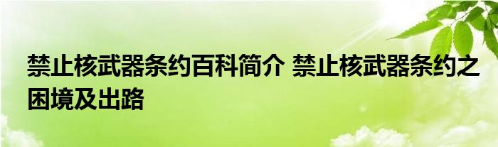 禁止核武器条约百科简介 禁止核武器条约之困境及出路