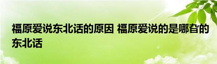 福原爱说东北话的原因 福原爱说的是哪旮的东北话