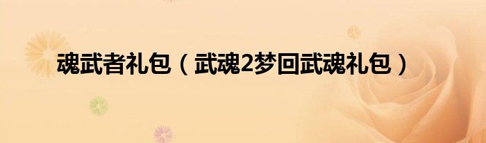 魂武者礼包（武魂2梦回武魂礼包）