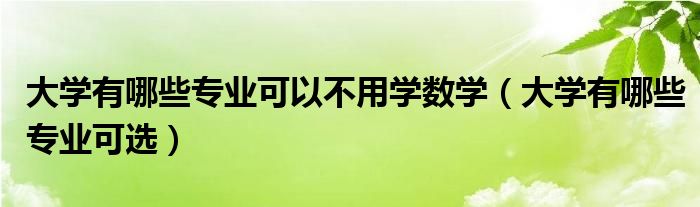 大学有哪些专业可以不用学数学（大学有哪些专业可选）