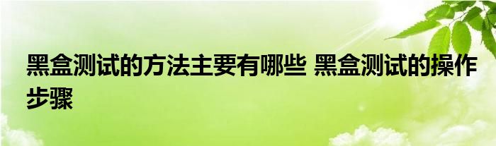 黑盒测试的方法主要有哪些 黑盒测试的操作步骤