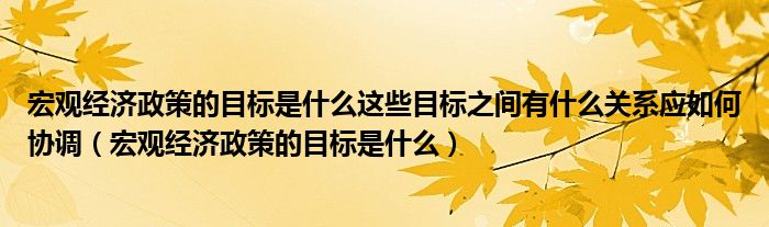 宏观经济政策的目标是什么这些目标之间有什么关系应如何协调（宏观经济政策的目标是什么）