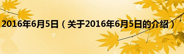 2016年6月5日（关于2016年6月5日的介绍）