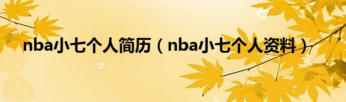 nba小七个人简历（nba小七个人资料）