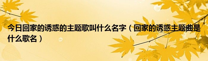 今日回家的诱惑的主题歌叫什么名字（回家的诱惑主题曲是什么歌名）