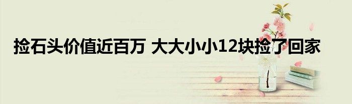 捡石头价值近百万 大大小小12块捡了回家