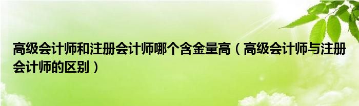 高级会计师和注册会计师哪个含金量高（高级会计师与注册会计师的区别）