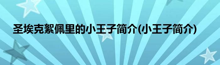 圣埃克絮佩里的小王子简介(小王子简介)