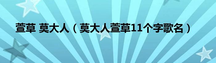 萱草 莫大人（莫大人萱草11个字歌名）