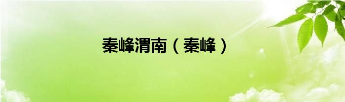 秦峰渭南（秦峰）