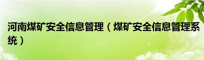 河南煤矿安全信息管理（煤矿安全信息管理系统）