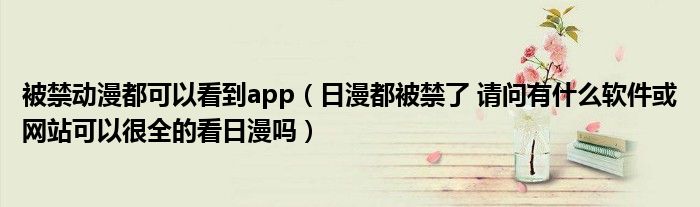 被禁动漫都可以看到app（日漫都被禁了 请问有什么软件或网站可以很全的看日漫吗）