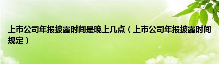 上市公司年报披露时间是晚上几点（上市公司年报披露时间规定）