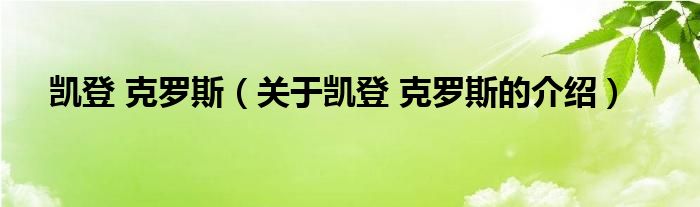 凯登 克罗斯（关于凯登 克罗斯的介绍）