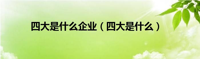 四大是什么企业（四大是什么）