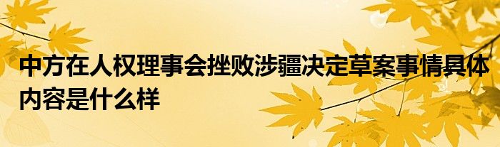 中方在人权理事会挫败涉疆决定草案事情具体内容是什么样