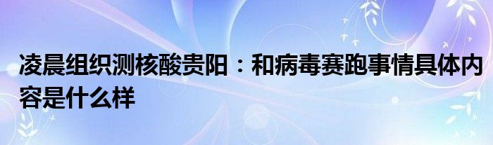 凌晨组织测核酸贵阳：和病毒赛跑事情具体内容是什么样