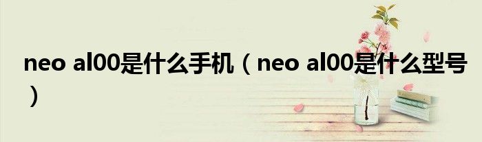 neo al00是什么手机（neo al00是什么型号）