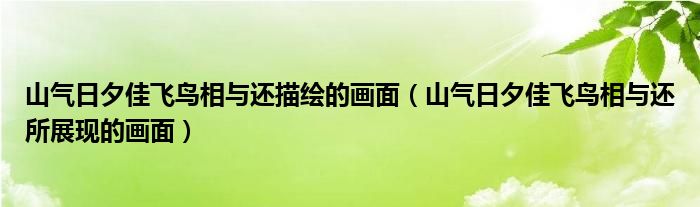 山气日夕佳飞鸟相与还描绘的画面（山气日夕佳飞鸟相与还所展现的画面）