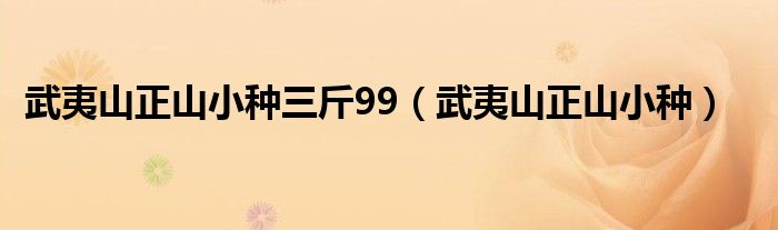 武夷山正山小种三斤99（武夷山正山小种）