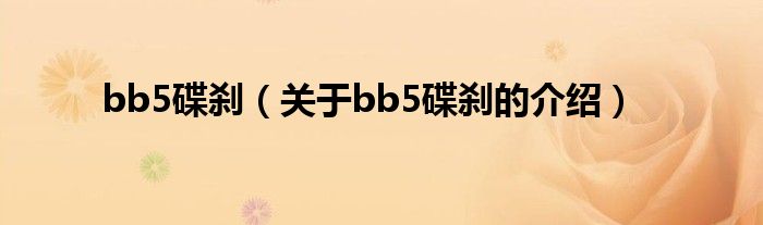 bb5碟刹（关于bb5碟刹的介绍）