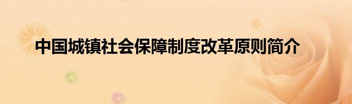 中国城镇社会保障制度改革原则简介