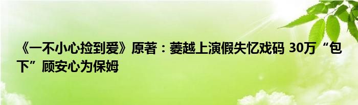 《一不小心捡到爱》原著：菱越上演假失忆戏码 30万“包下”顾安心为保姆