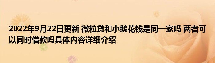 2022年9月22日更新 微粒贷和小鹅花钱是同一家吗 两者可以同时借款吗具体内容详细介绍