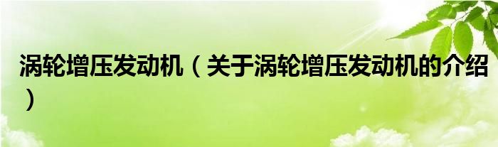 涡轮增压发动机（关于涡轮增压发动机的介绍）