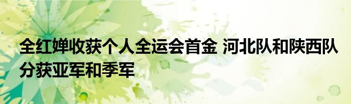 全红婵收获个人全运会首金 河北队和陕西队分获亚军和季军