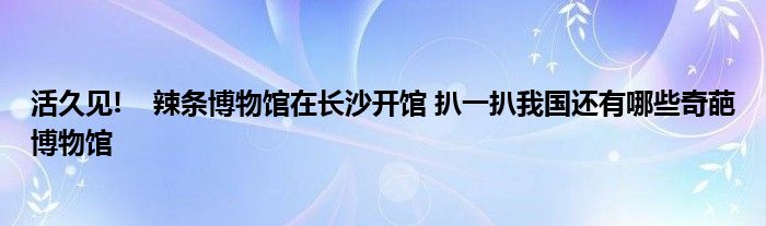 活久见!    辣条博物馆在长沙开馆 扒一扒我国还有哪些奇葩博物馆