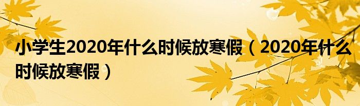 小学生2020年什么时候放寒假（2020年什么时候放寒假）