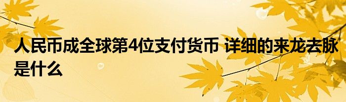 人民币成全球第4位支付货币 详细的来龙去脉是什么