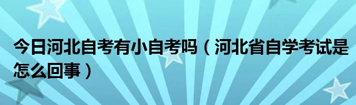 今日河北自考有小自考吗（河北省自学考试是怎么回事）