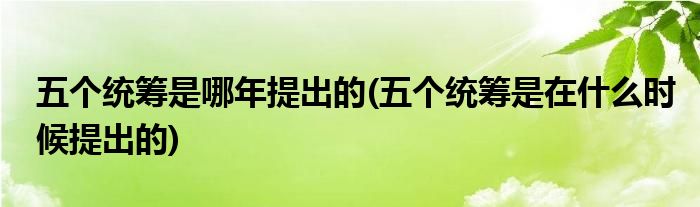 五个统筹是哪年提出的(五个统筹是在什么时候提出的)