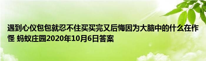 遇到心仪包包就忍不住买买完又后悔因为大脑中的什么在作怪 蚂蚁庄园2020年10月6日答案