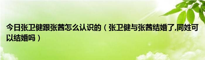 今日张卫健跟张茜怎么认识的（张卫健与张茜结婚了,同姓可以结婚吗）