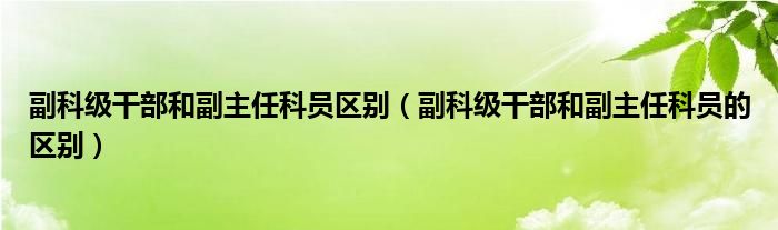 副科级干部和副主任科员区别（副科级干部和副主任科员的区别）