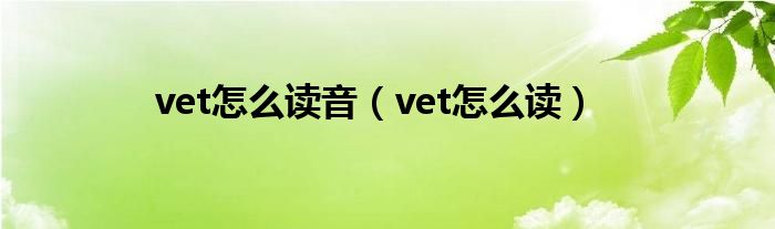 vet怎么读音（vet怎么读）