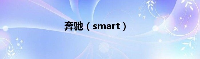 奔驰（smart）