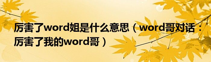 厉害了word姐是什么意思（word哥对话：厉害了我的word哥）