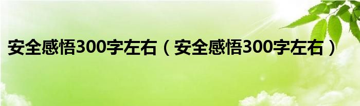 安全感悟300字左右（安全感悟300字左右）