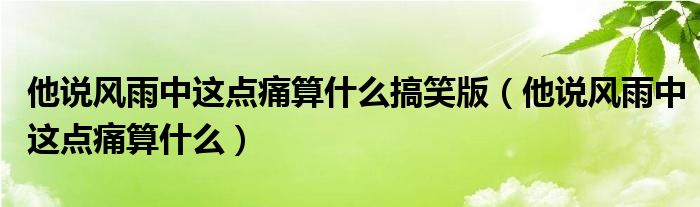 他说风雨中这点痛算什么搞笑版（他说风雨中这点痛算什么）