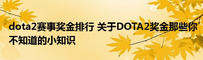 dota2赛事奖金排行 关于DOTA2奖金那些你不知道的小知识