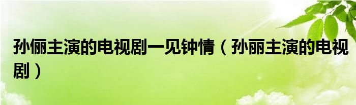 孙俪主演的电视剧一见钟情（孙丽主演的电视剧）