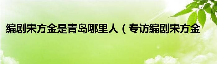 编剧宋方金是青岛哪里人（专访编剧宋方金