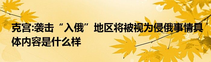 克宫:袭击“入俄”地区将被视为侵俄事情具体内容是什么样