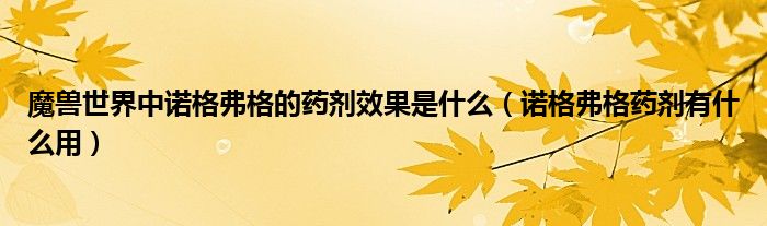 魔兽世界中诺格弗格的药剂效果是什么（诺格弗格药剂有什么用）