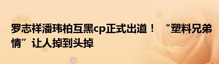 罗志祥潘玮柏互黑cp正式出道！ “塑料兄弟情”让人掉到头掉