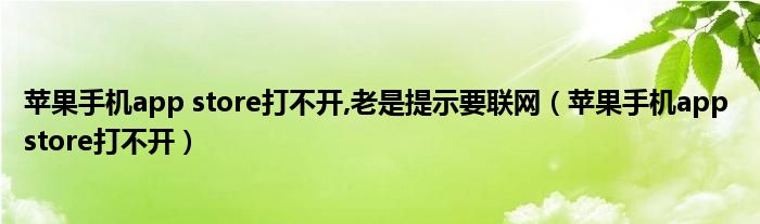 苹果手机app store打不开,老是提示要联网（苹果手机app store打不开）